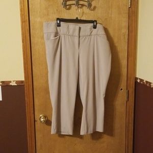 Size 20 Maurices dress capris